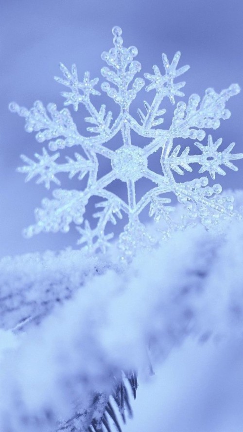 無料の冬の壁紙 霜 スノーフレーク 雪 冬 空 凍結 パターン Wallpaperkiss