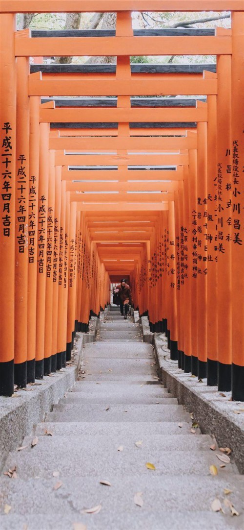 日本hdの壁紙 鳥居 通路 神社 寺院 礼拝所 建築 神社 建物 Wallpaperkiss