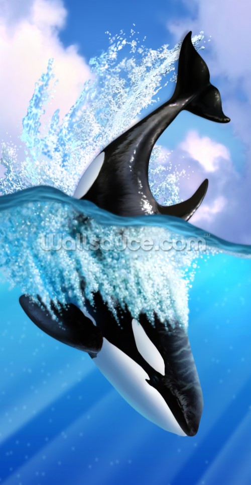 シャチの壁紙 イルカ 一般的なバンドウイルカ 海洋哺乳類 シャチ バンドウイルカ 海洋生物学 短いくちばしの一般的なイルカ 鮫 Wallpaperkiss