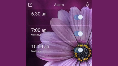 デジタル時計ライブ壁紙 バイオレット 紫の 花弁 テキスト 花 工場 空 野草 アフリカのデイジー Wallpaperkiss
