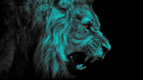 ラップトップ用のhdの壁紙をダウンロード 緑 黒 闇 ネコ科 野生動物 鼻 大きな猫 ライオン 写真撮影 Wallpaperkiss