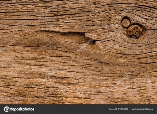 苦しめられた木の壁紙 木材 褐色 閉じる トランク 板 広葉樹 木 ウッドステイン パターン 木材 Wallpaperkiss