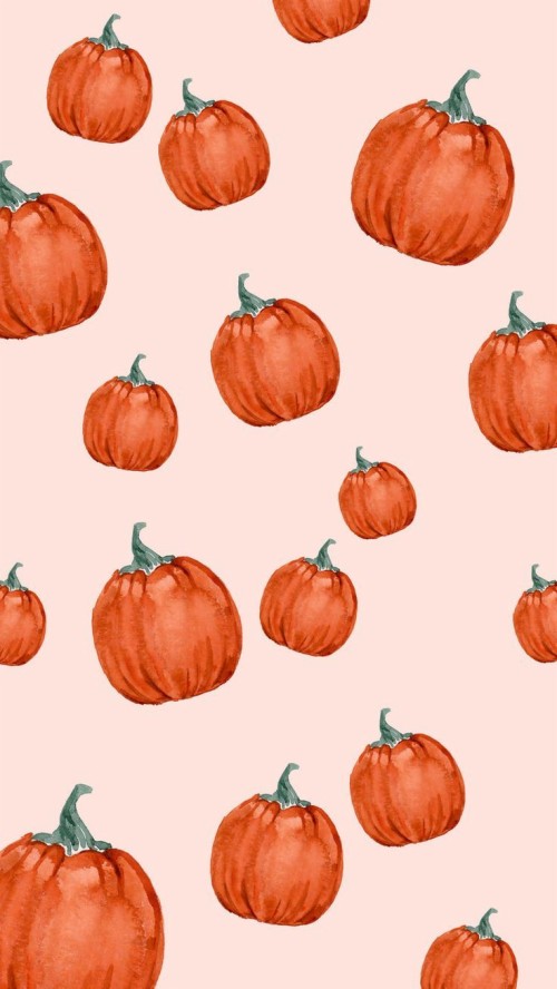 かわいい秋の壁紙 自然食品 オレンジ かぼちゃ 地元の食べ物 野菜 カラバザ フルーツ 工場 ホールフード 食物 Wallpaperkiss