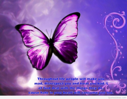 Beaux Fonds D Ecran Avec Des Citations De La Vie Papillon Violet Violet Insecte Papillons Et Papillons Aile Invertebre Police De Caractere Animation Wallpaperkiss