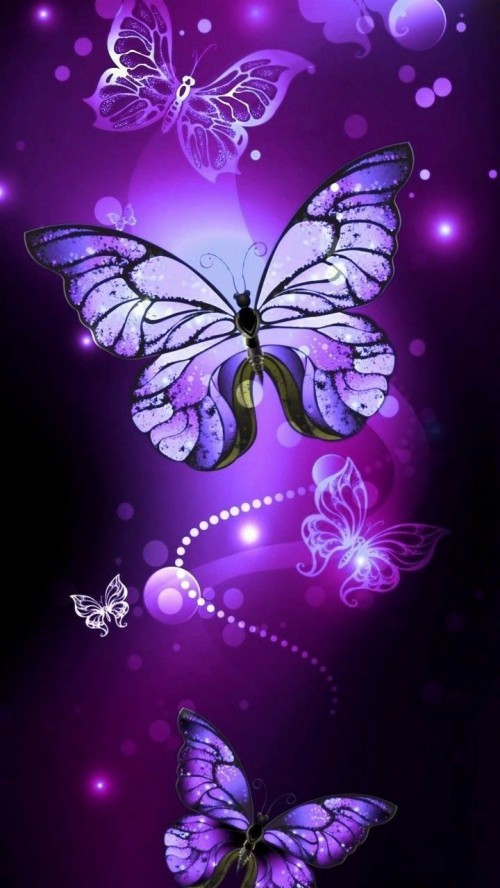 紫色の蝶の壁紙 バタフライ バイオレット 紫の 昆虫 蛾と蝶 ラベンダー グラフィックデザイン 無脊椎動物 設計 Wallpaperkiss