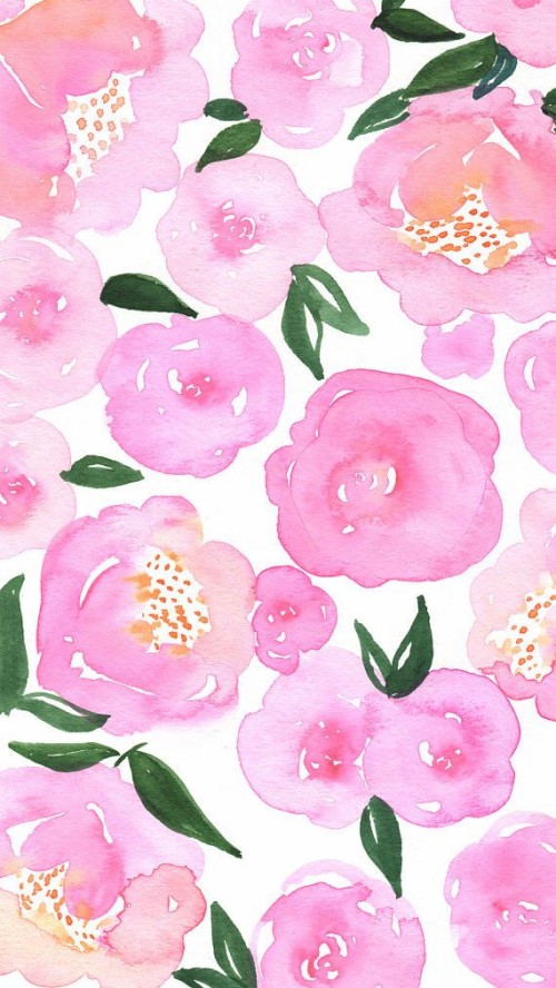ピンクの花の壁紙 ピンク 花 日本の椿 花弁 工場 パターン ツバキ科 設計 Wallpaperkiss