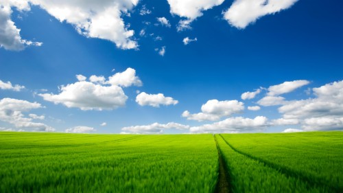 愛の壁紙無料ダウンロード 空 自然の風景 フィールド 緑 草原 自然 昼間 水田 雲 Wallpaperkiss