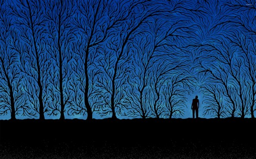 不気味な壁紙 青い 木 自然 空 エレクトリックブルー 木本 闇 夜 雰囲気 Wallpaperkiss