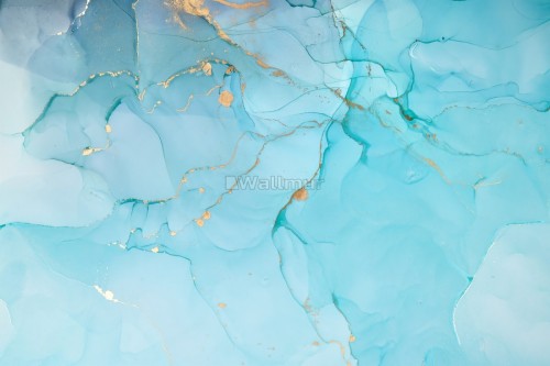 ベビーブルーの壁紙 青い アクア ターコイズ 地図 ターコイズ 世界 氷河 Wallpaperkiss