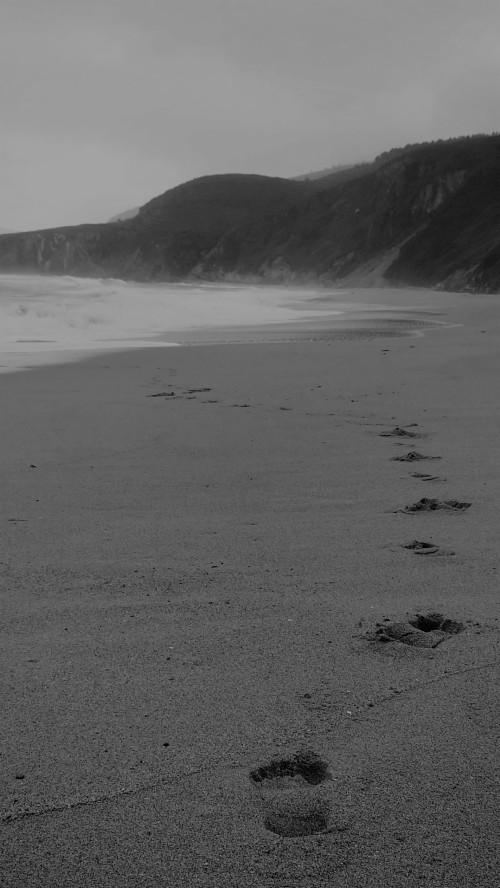 Fondo De Pantalla Negro Puro Mar Arena Costa Apuntalar Oceano Playa Ola En Blanco Y Negro Cielo Wallpaperkiss