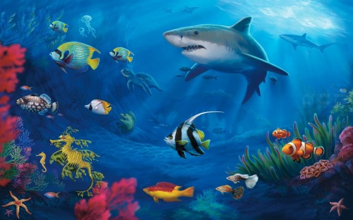 海洋生物の壁紙 壁 水族館 壁画 壁紙 ルーム 魚 海洋生物学 魚 インテリア デザイン Wallpaperkiss
