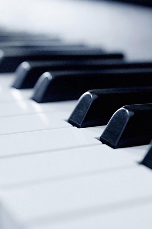音楽iphone壁紙 白い ピアノ キーボード デジタルピアノ エレクトリックピアノ ミュージカルキーボード 技術 Wallpaperkiss