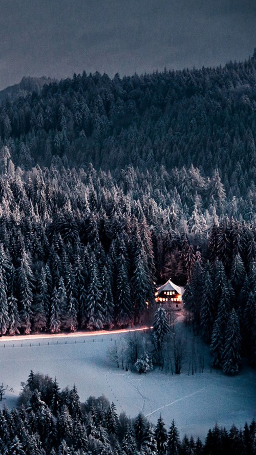 Iphone 6の4k壁紙 雪 冬 自然 木 自然の風景 凍結 森林 Wallpaperkiss