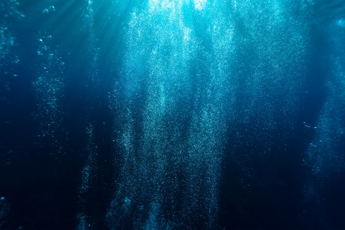 水中壁紙 青い 水 水中 アクア ターコイズ 緑 海洋生物学 エレクトリックブルー Wallpaperkiss