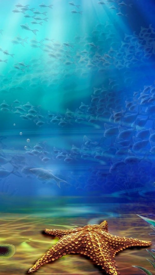 海のiphoneの壁紙 空 青い 海 水 海洋 アオウミガメ 水中 ウミガメ 風景 ターコイズ Wallpaperkiss