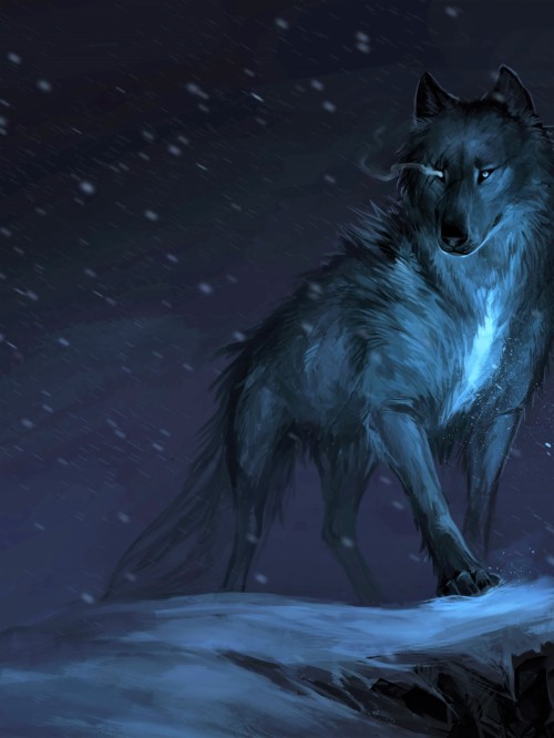 クールなオオカミの壁紙 狼 人狼 架空の人物 闇 カニスループスツンドララム 神話上の生き物 レッドウルフ コヨーテ 図 Wallpaperkiss