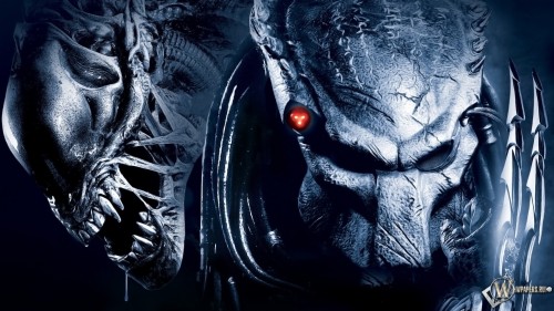 Alien Vs Predator Wallpaper Organ Fictional Character Batman Darkness Demon Cg Artwork Graphic Design Illustration Flesh Graphics Wallpaperkiss
