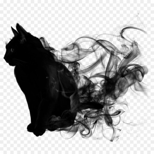 猫のデスクトップの壁紙 黒猫 黒と白 ネコ ひげ 図 中型から中型の猫 モノクローム グラフィックデザイン ネコ科 架空の人物 Wallpaperkiss