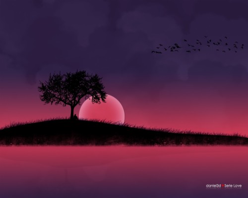 待ち受け壁紙 空 自然 自然の風景 木 紫の 反射 ピンク 夜 雰囲気 Wallpaperkiss