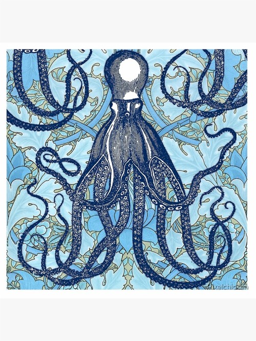 octopus wallpaper,octopus,cephalopod,blue,aqua,giant pacific octopus ...