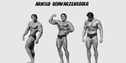 アーノルド シュワルツェネッガー壁紙 ボディービル ボディービルダー 立っている 体力 ショルダー 裸の 人間 胸 Wallpaperkiss