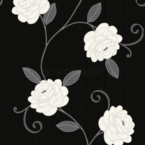 Schwarz Weiss Blumentapete Blume Pflanze Schwarz Und Weiss Muster Bluhende Pflanze Strichzeichnungen Blutenblatt Blumendesign 1450888 Wallpaperkiss