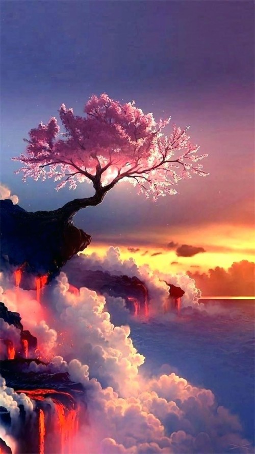 ツリーライブ壁紙 空 自然 雲 自然の風景 木 ピンク 工場 木本 雰囲気 Wallpaperkiss