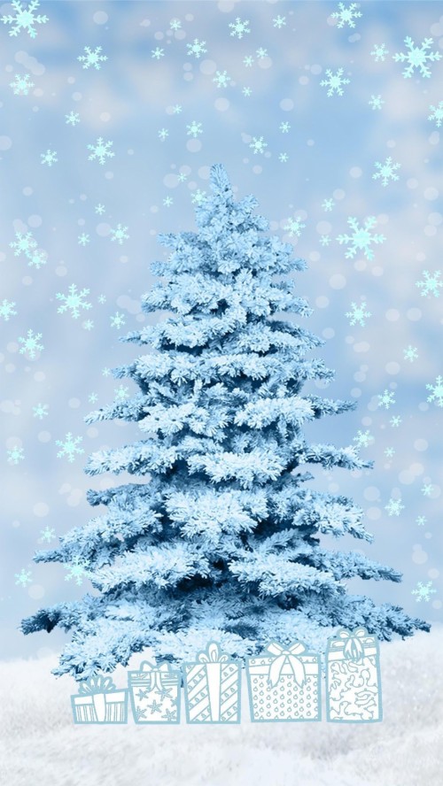 クリスマスの電話の壁紙 クリスマスツリー コロラドスプルース 木 白松 ショートリーフブラックスプルース 黄色のモミ 霜 スプルース Wallpaperkiss