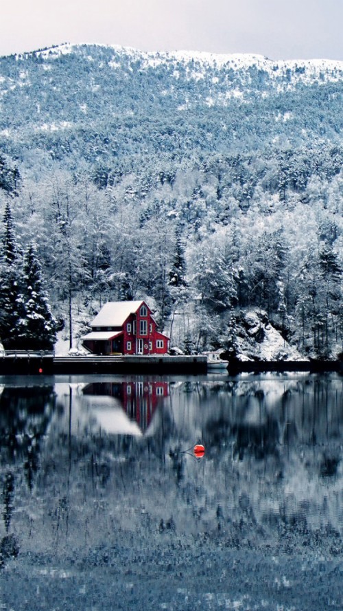 冬の壁紙iphone 反射 水 自然 自然の風景 冬 空 木 雪 湖 Wallpaperkiss