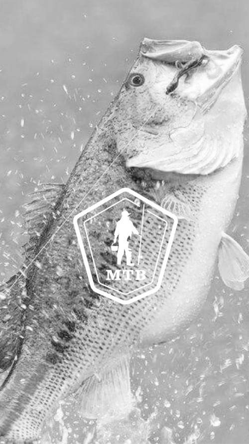 Iphone 6s魚の壁紙 アトランティックブルーマーリン 魚 マーリン 魚 硬骨魚 Wallpaperkiss