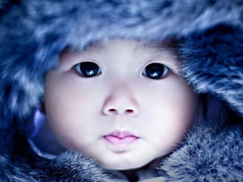 Telechargement De Fond D Ecran Bebe Mignon Visage Enfant Fourrure Bleu Tete œil Levre Wallpaperkiss