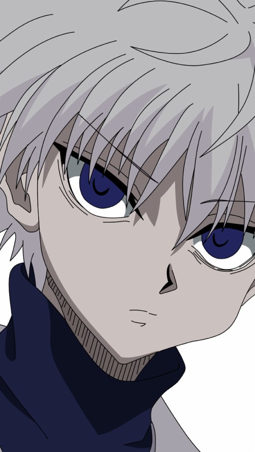 killua wallpaper,karikatur,anime,illustration,pflanze,blume, #1418877