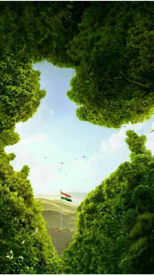 Deshバクティ壁紙 緑 自然 自然の風景 空 木 昼間 草 風景 Wallpaperkiss