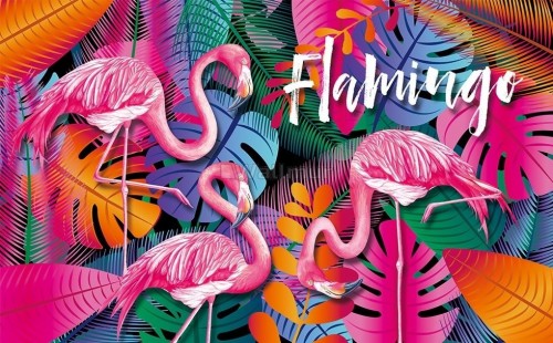 壁紙フラメンゴhd フラミンゴ オオフラミンゴ 鳥 水鳥 自然の風景 野生動物 陸生動物 Wallpaperkiss