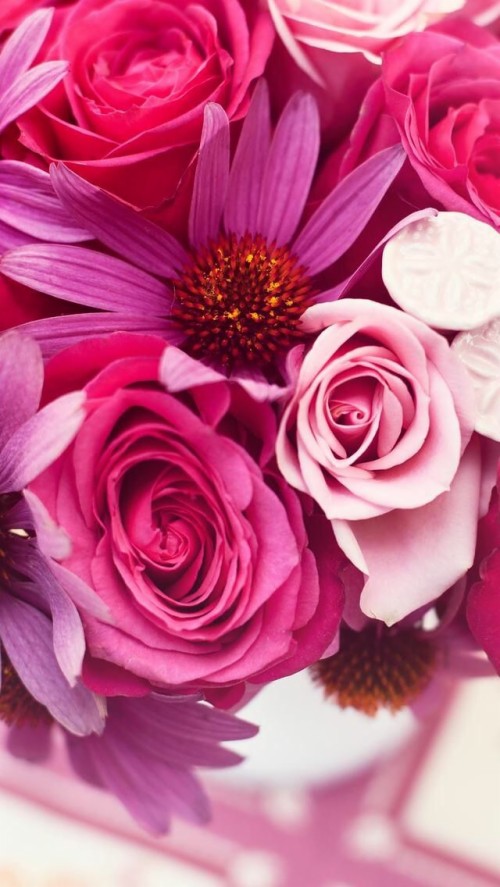 美しい花の壁紙 花 開花植物 花弁 花束 ピンク 切り花 工場 紫の 花柄 ガーベラ Wallpaperkiss