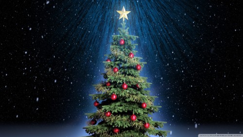 ポケモンクリスマス壁紙 クリスマスツリー クリスマス クリスマスの飾り 木 空 クリスマス イブ コロラドスプルース クリスマスオーナメント モミ 針葉樹 Wallpaperkiss