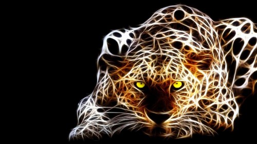 タイガー壁紙ダウンロード ジャガー ネコ科 野生動物 大きな猫 ヒョウ 陸生動物 ひげ アフリカのヒョウ 鼻 Wallpaperkiss