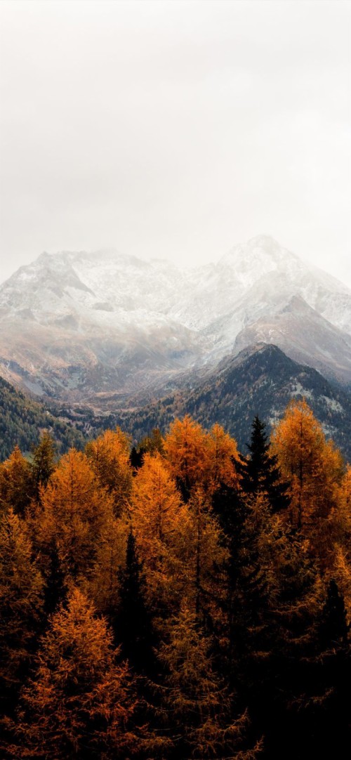 秋のiphone壁紙 山 自然 木 空 山脈 葉 自然の風景 Wallpaperkiss