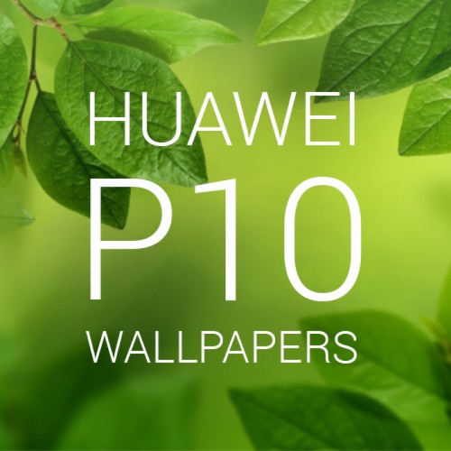 Huawei P9 Liteの壁紙 緑 葉 自然 フォント テキスト 工場 木 花 春 Wallpaperkiss