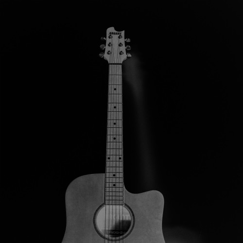 壁紙ギター ギター 楽器 撥弦楽器 ベースギター 弦楽器アクセサリー 静物写真 エレキギター アコースティックギター Wallpaperkiss