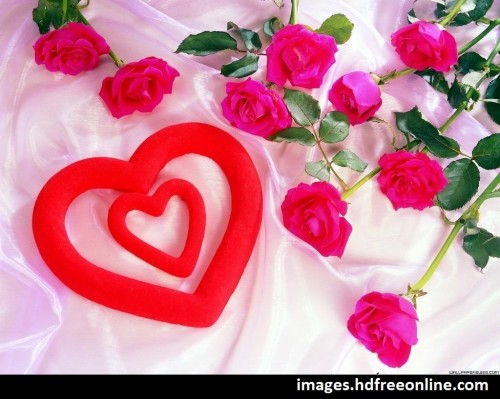 モバイル用のかわいい愛の壁紙 心臓 ピンク 花 庭のバラ バレンタイン デー 花弁 ローズ 造花 工場 愛 Wallpaperkiss