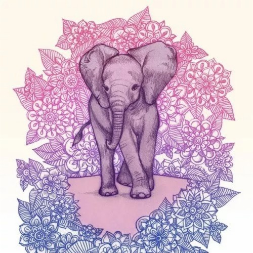 マンダラiphoneの壁紙 象 象とマンモス インド象 アフリカゾウ 図 ピンク 野生動物 パターン アート 視覚芸術 Wallpaperkiss