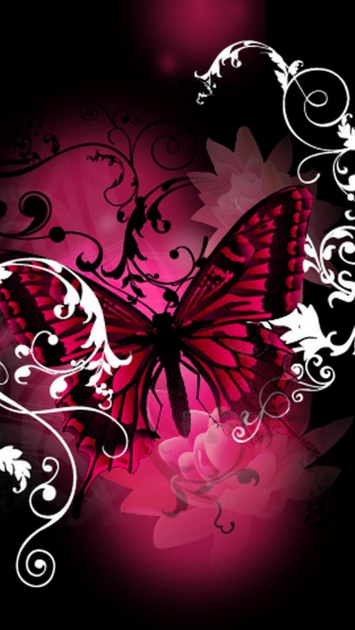 蝶の写真の壁紙 バタフライ ピンク 蛾と蝶 グラフィックデザイン 昆虫 図 設計 羽 Wallpaperkiss