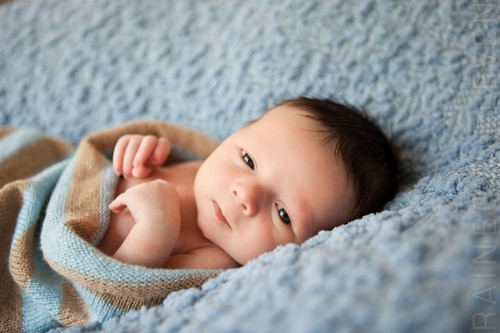 生まれたばかりの赤ちゃん画像壁紙 子 赤ちゃん 写真 眼 閉じる 肖像写真 幼児 Wallpaperkiss