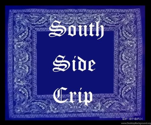 Crip Wallpaper Blue Pattern Design Textile Ornament Wrapping Paper Visual Arts Electric Blue Circle Pedicel 1499065 Wallpaperkiss