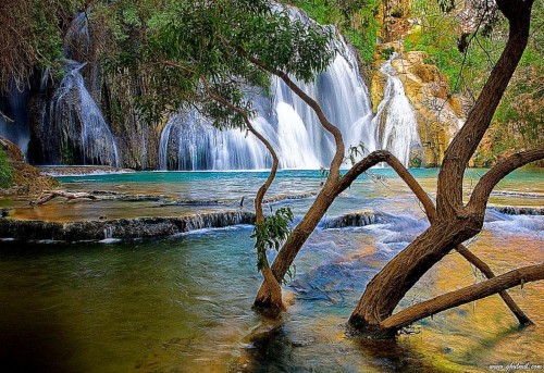 最高の美しい壁紙 水域 自然の風景 水資源 自然 滝 水 水路 木 Wallpaperkiss
