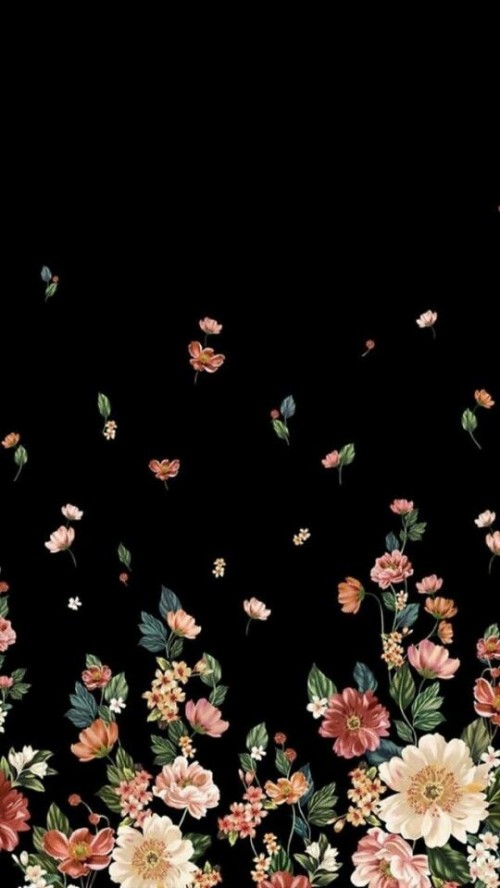 花の画面の壁紙 花 工場 ピンク パターン 花柄 設計 春 フォント 野草 花弁 Wallpaperkiss