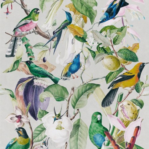 鳥壁紙イギリス 鳥 水彩絵の具 工場 ハチドリ 花 図 止まった鳥 朝顔 鳴き鳥 Wallpaperkiss