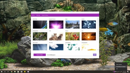 Pcデスクトップの無料ダウンロードのための壁紙 自然 Pcゲーム スクリーンショット 木 写真撮影 密林 Wallpaperkiss