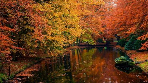 秋のコンピュータの壁紙 自然の風景 自然 木 反射 葉 秋 水路 Wallpaperkiss